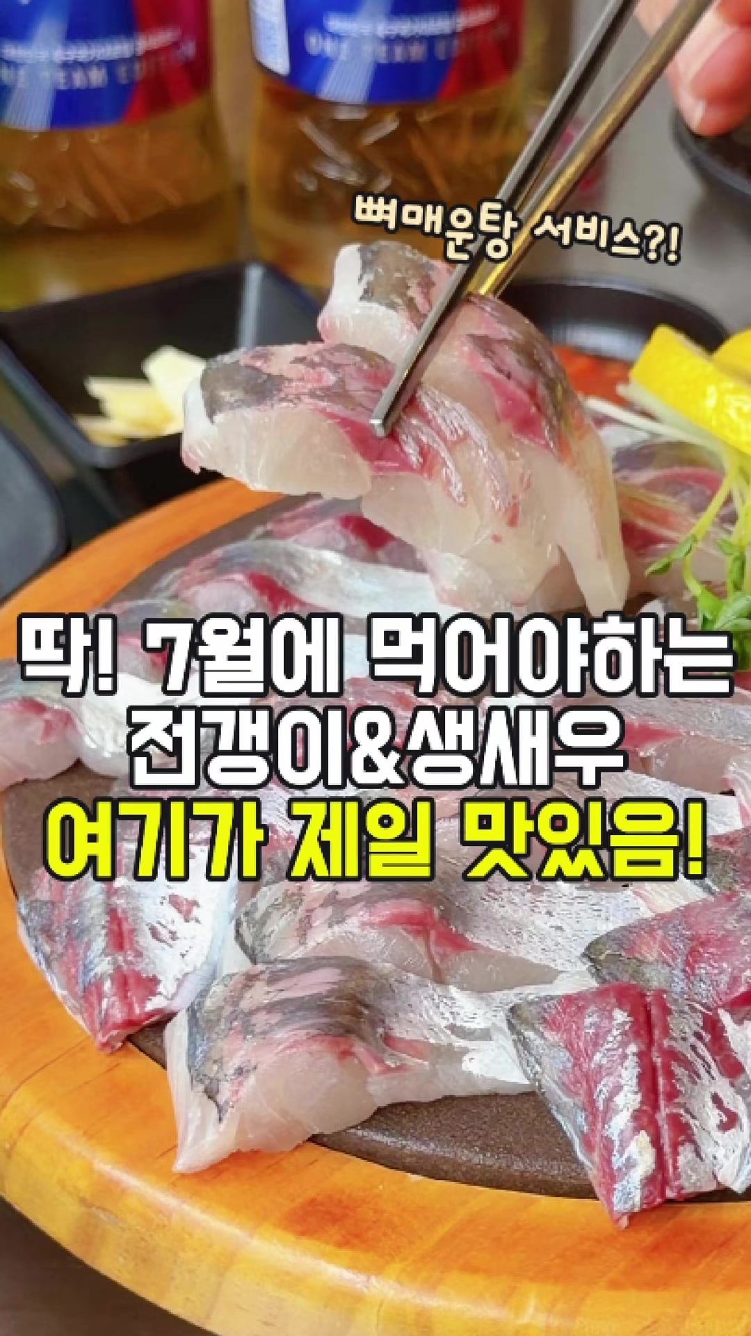 @대전토박이