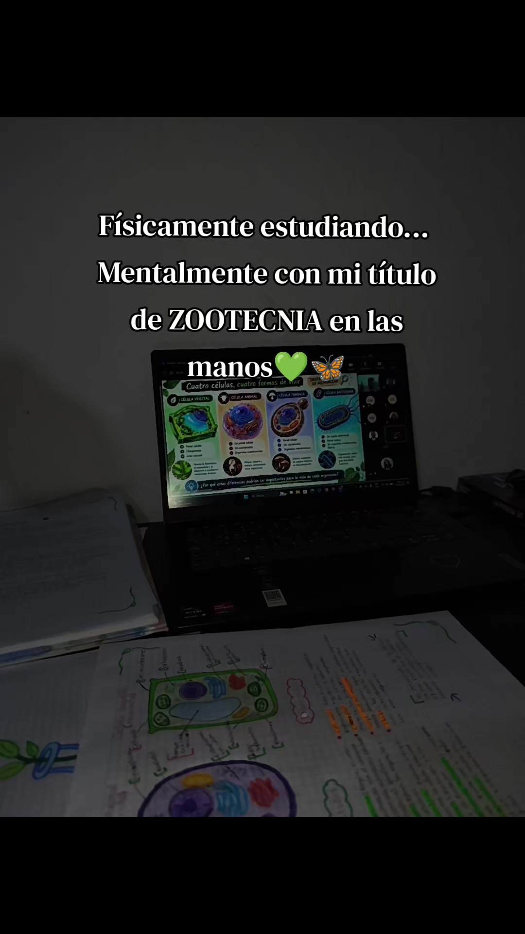 @🦋Estefany🦋