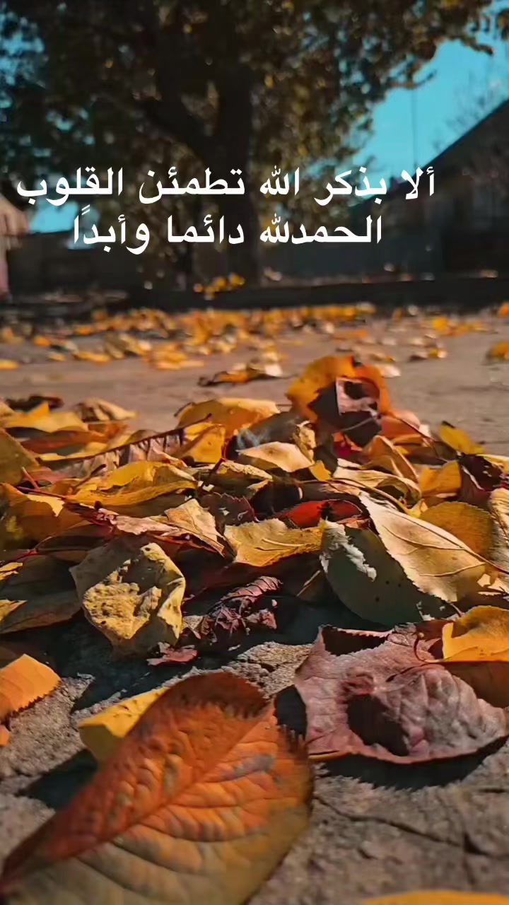 @ياسمين التيكتوك