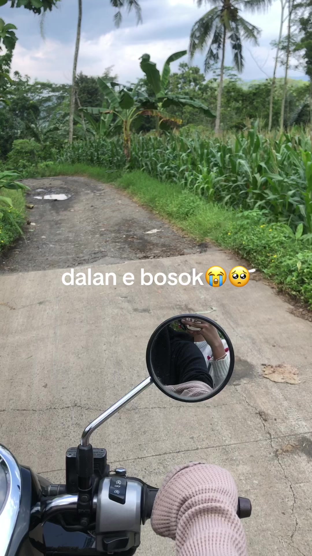 @tataa