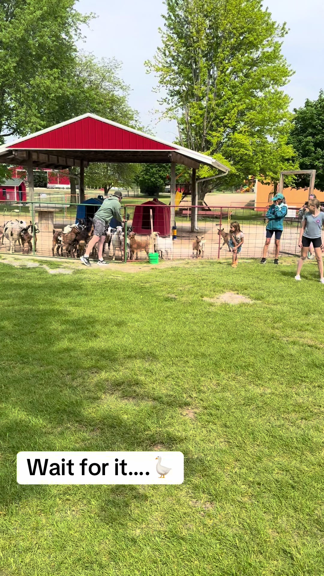 @GreenMeadowsFarmWi
