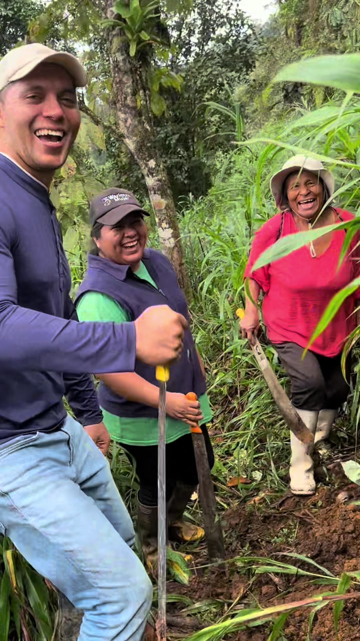 @Erick Ayabaca Vega