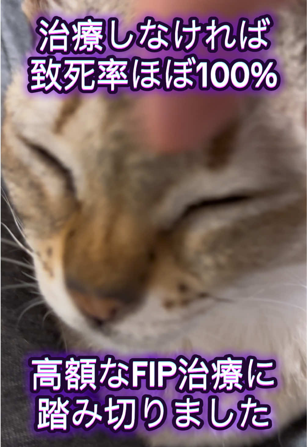 @Singapura_ran