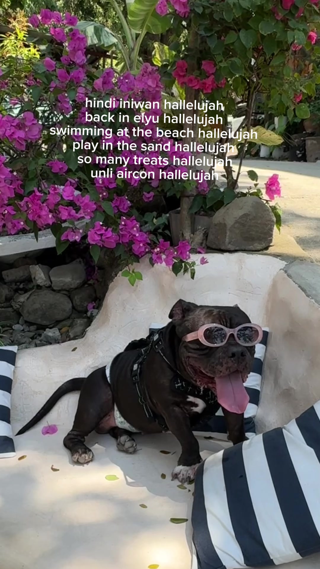 @muddycruise on ig &hearts;️