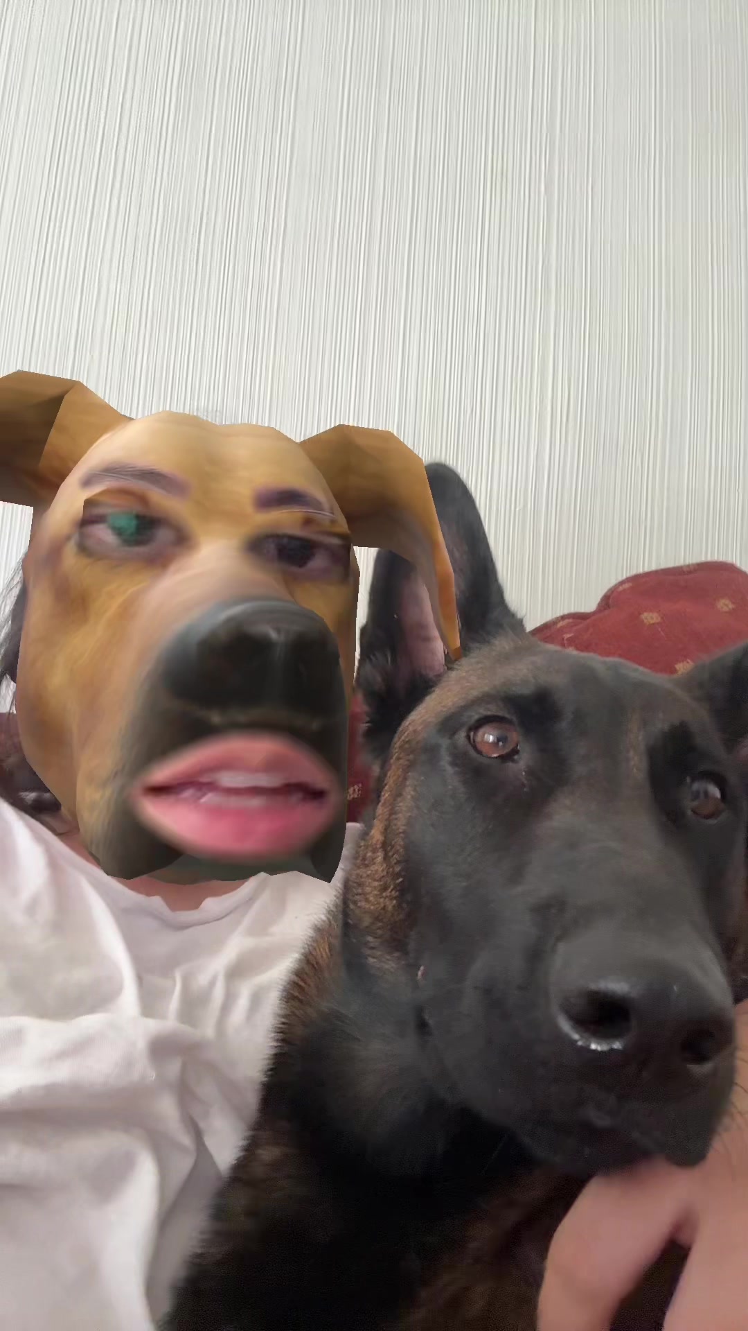 @simon_elmalinois