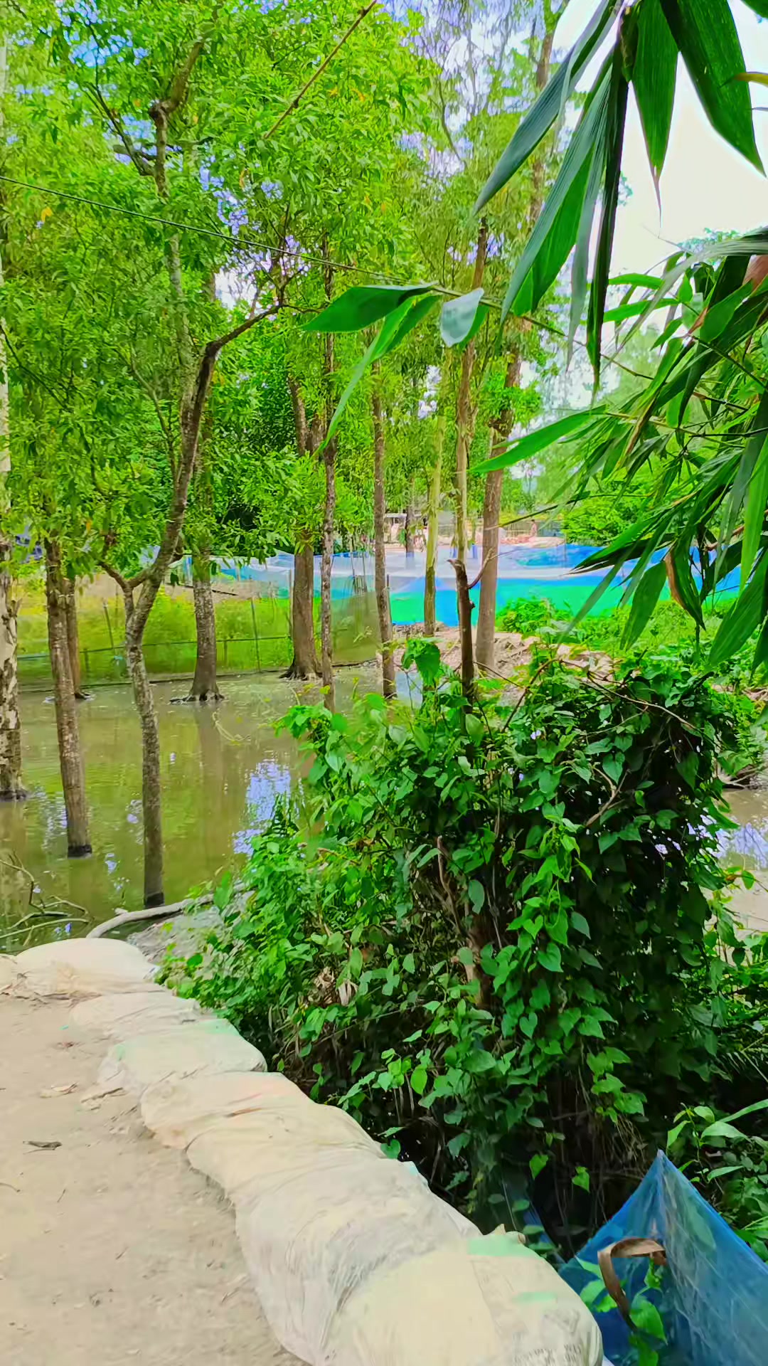 @আমি🥰 সে রাজা🥰 যার রানি 🥰নাই