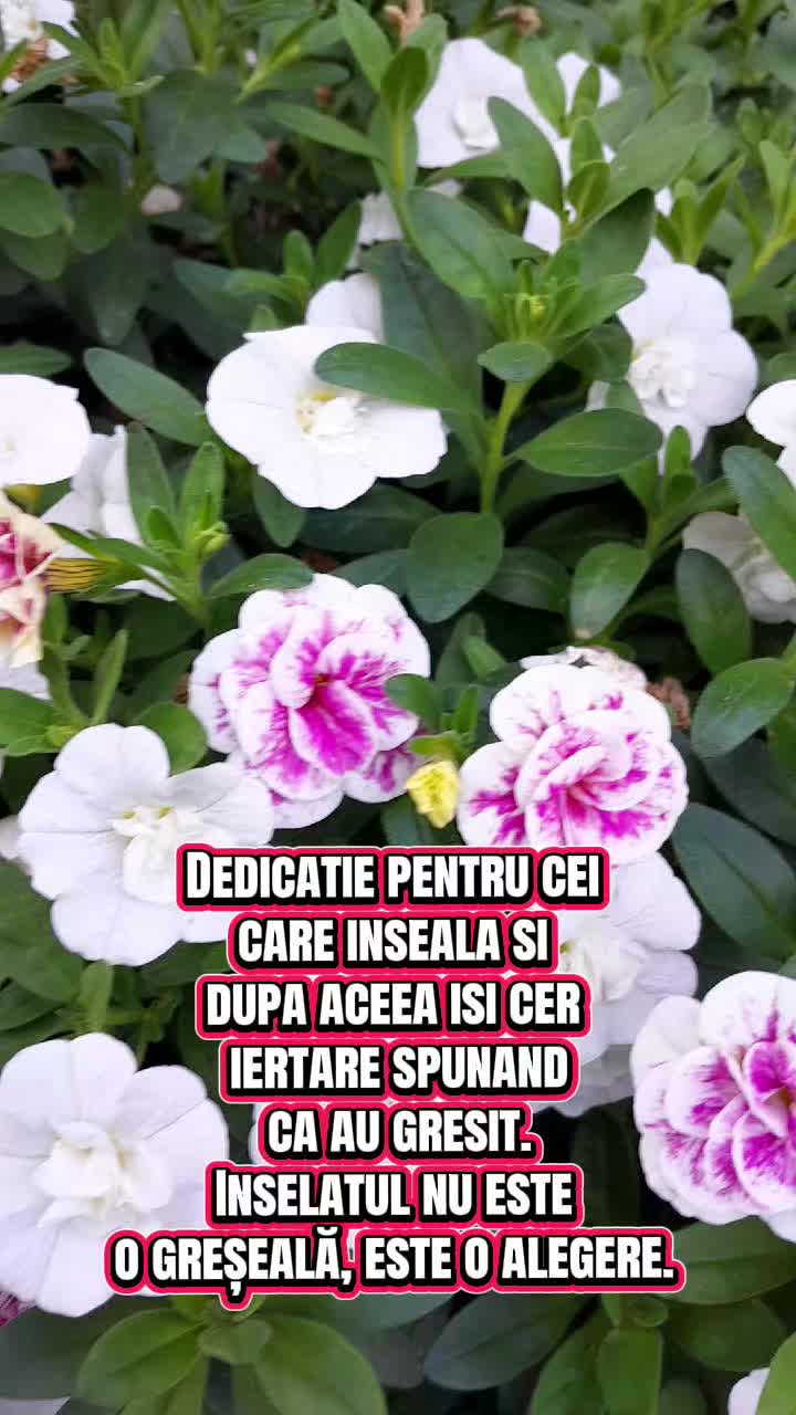@Iulia
