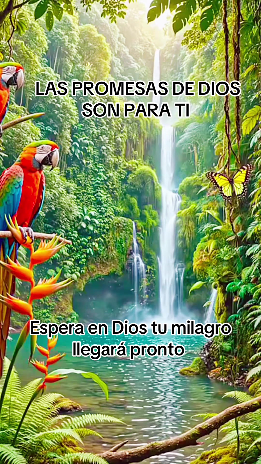 @Adelsomusicacristiana