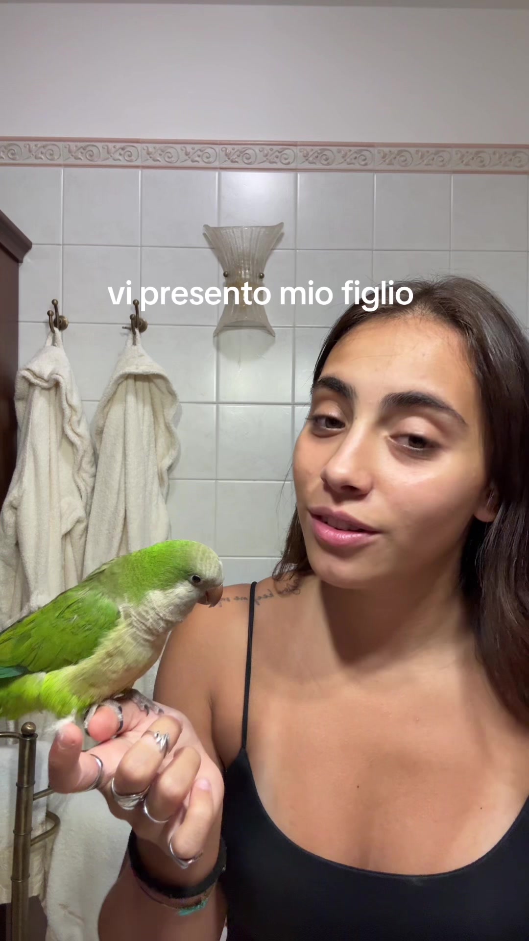 @apollineo