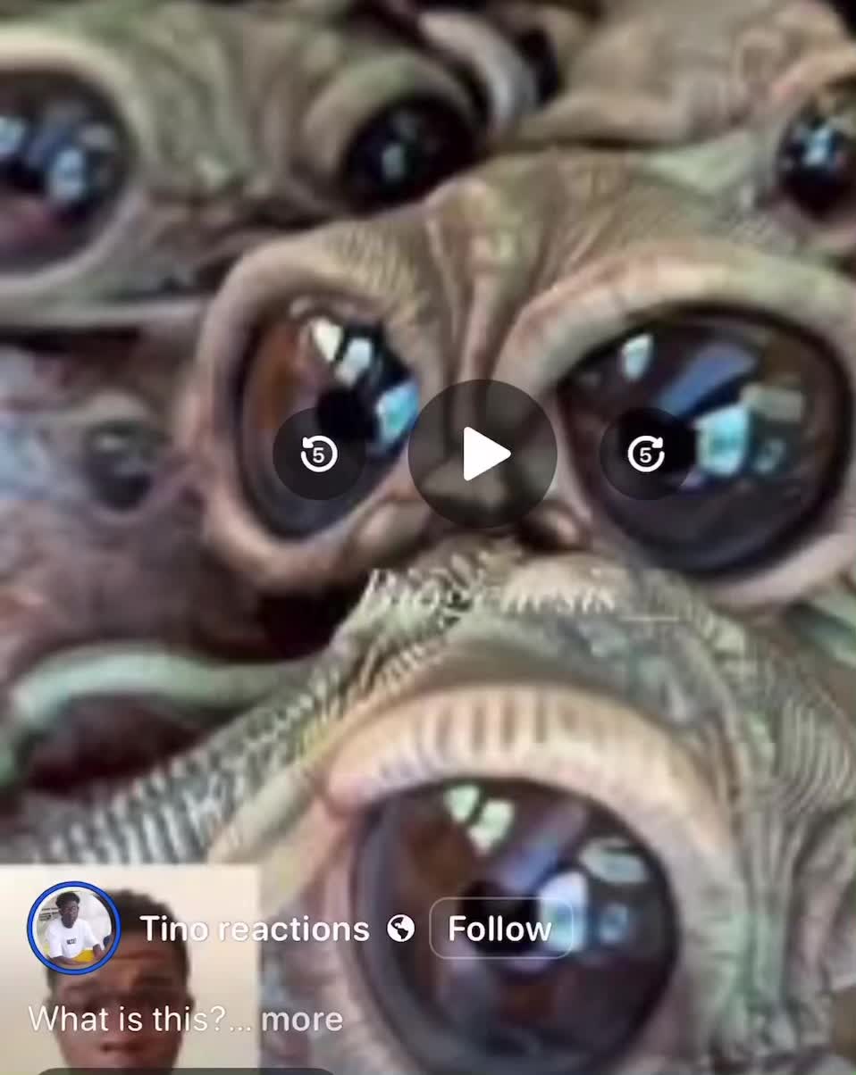@bitch_yu_maddd