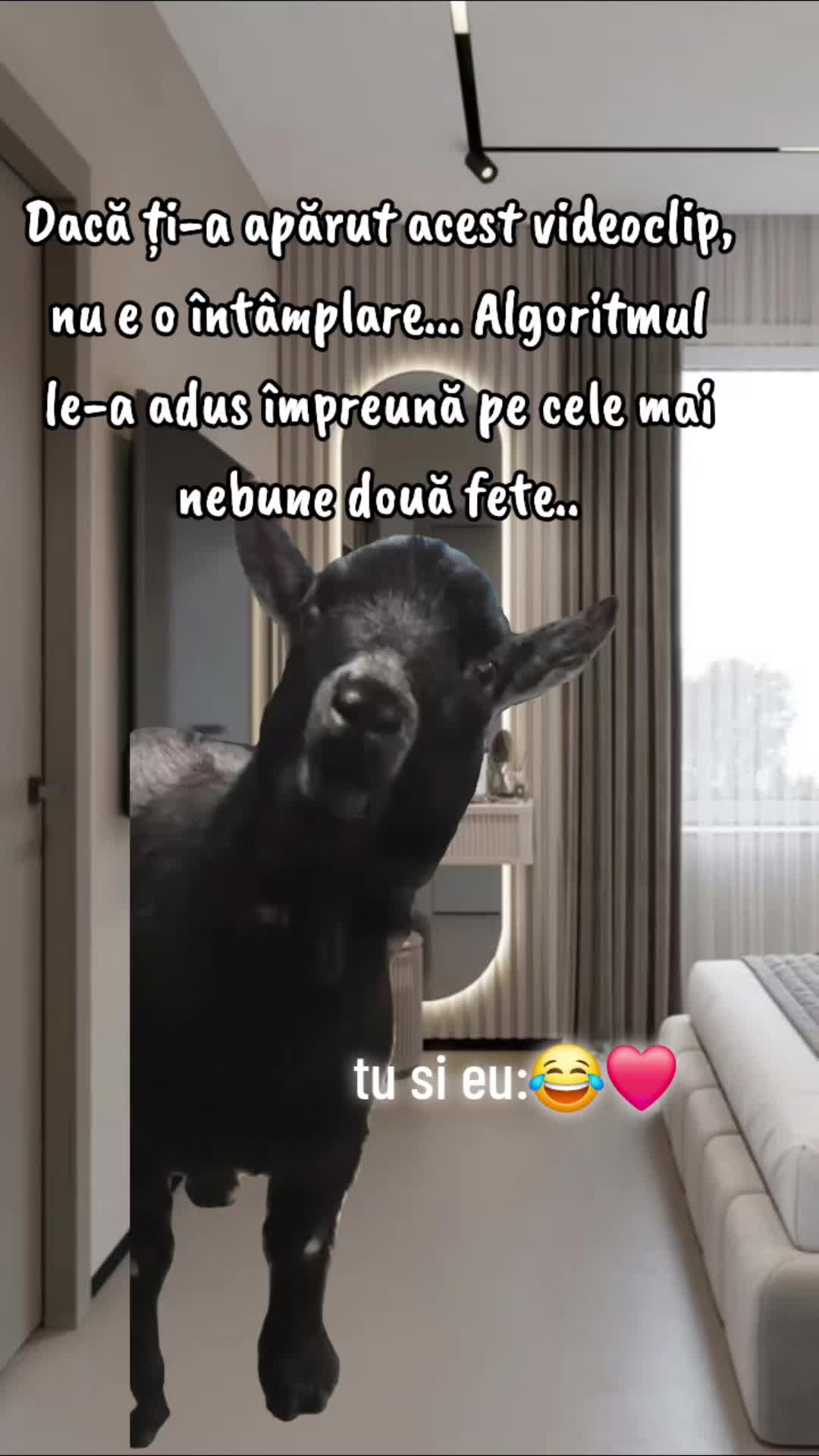 @ank_andreescu867