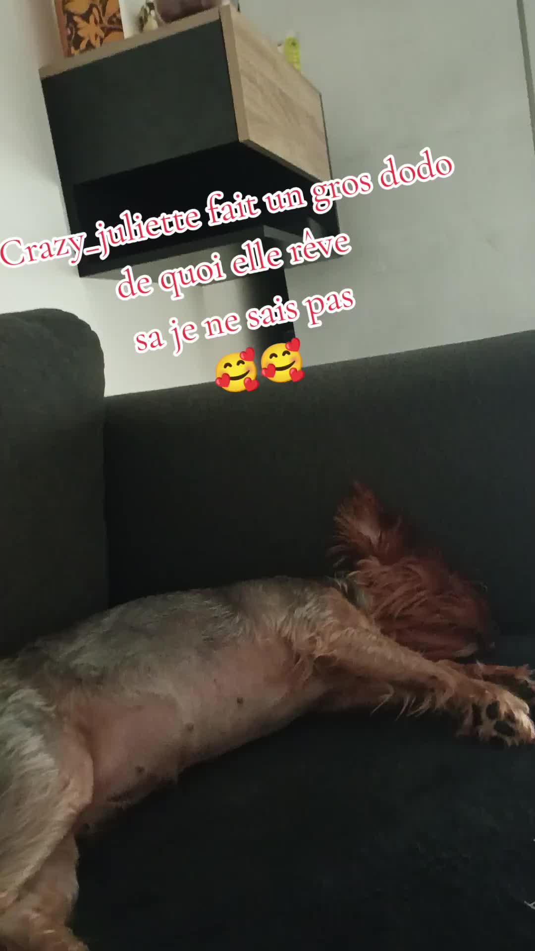 @CRAZY_JOJO