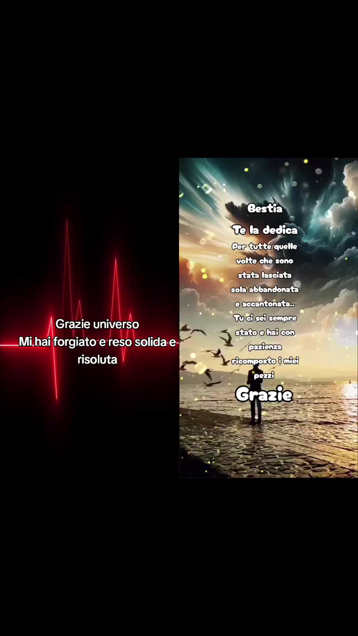 @Oo.Bestia.oO
