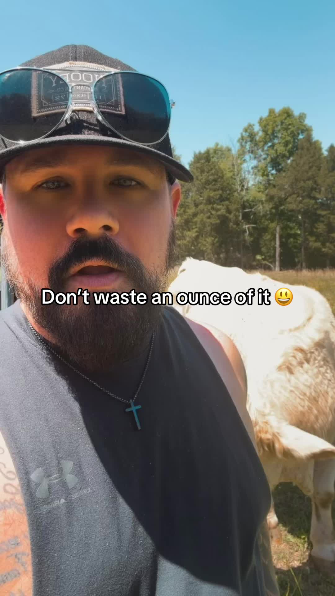 @Trent 🦌