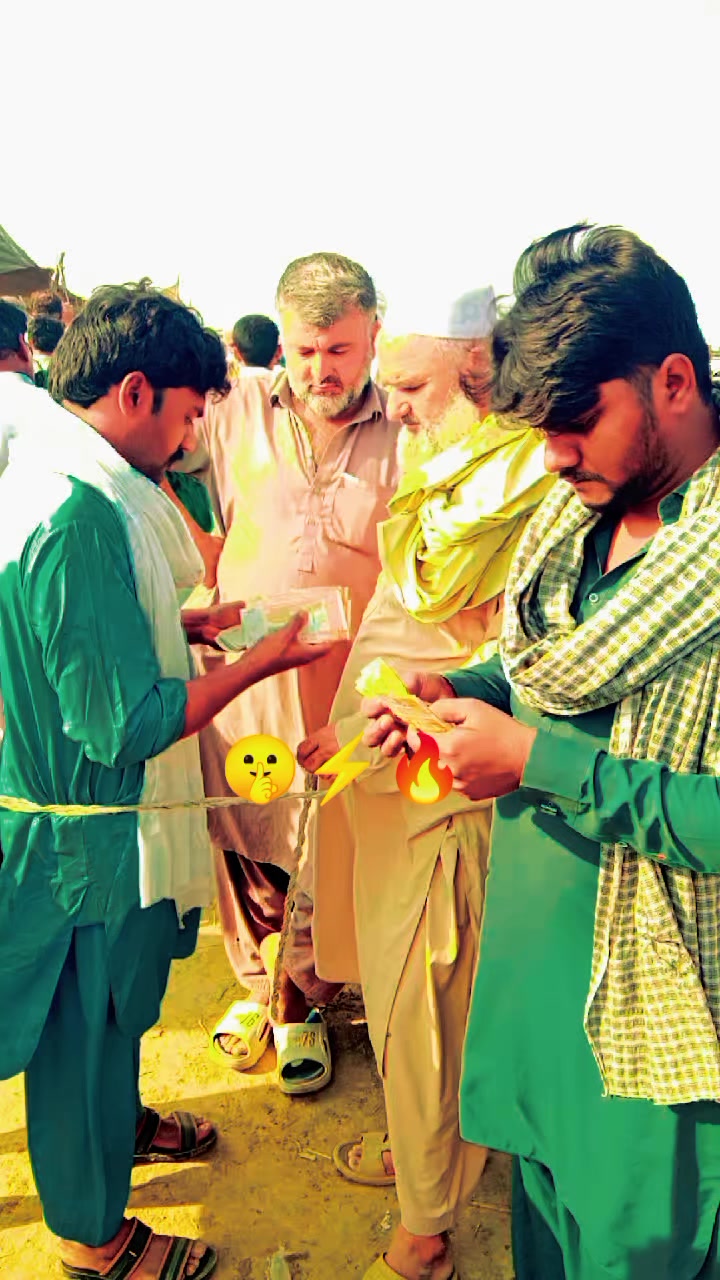 @farooqabbas517
