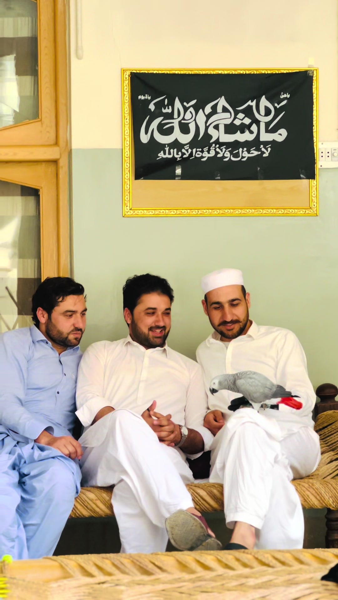 @IRFAN SAFI