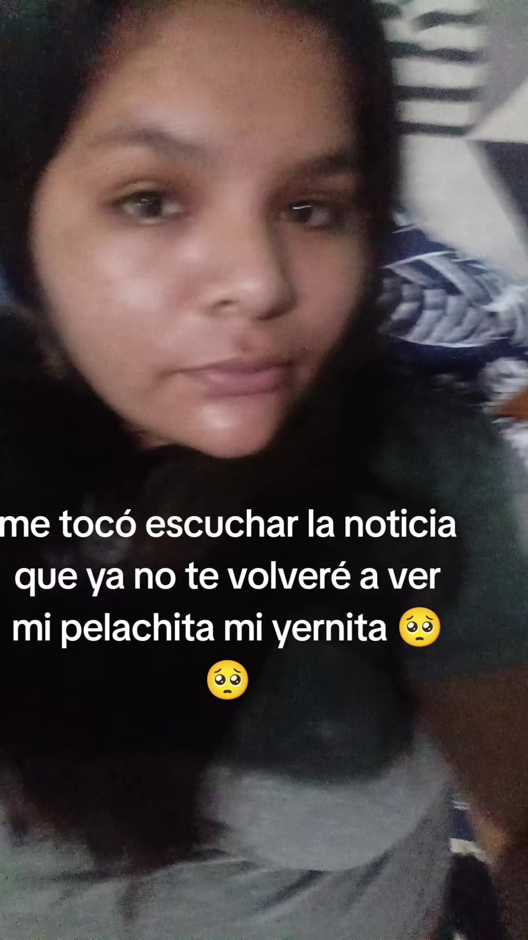 @Arianacurillo