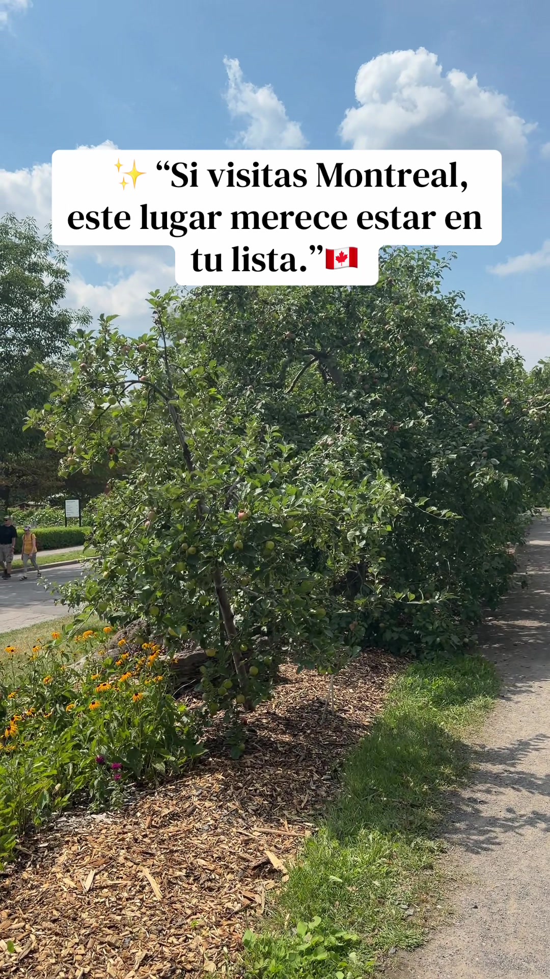 @Tony en Canada