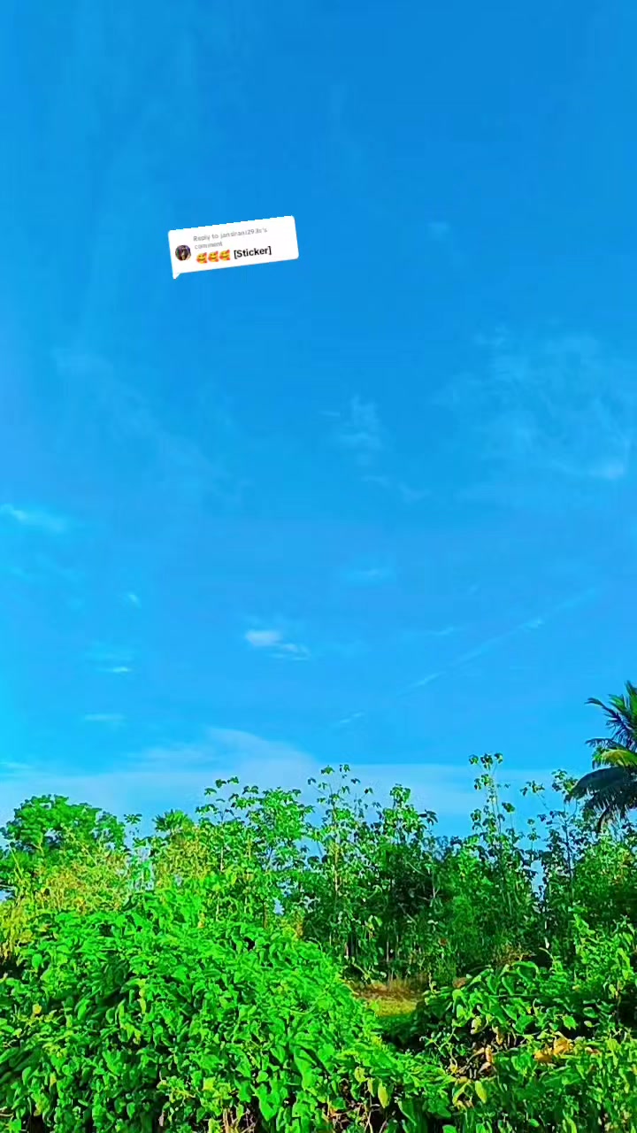 @பேப்பர் ஐடி    248 🌹1