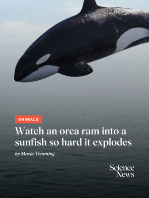 @Science News