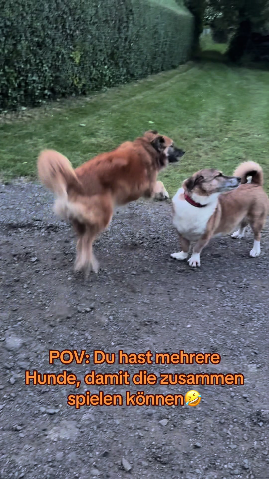 @Peri & Senioren 🐾