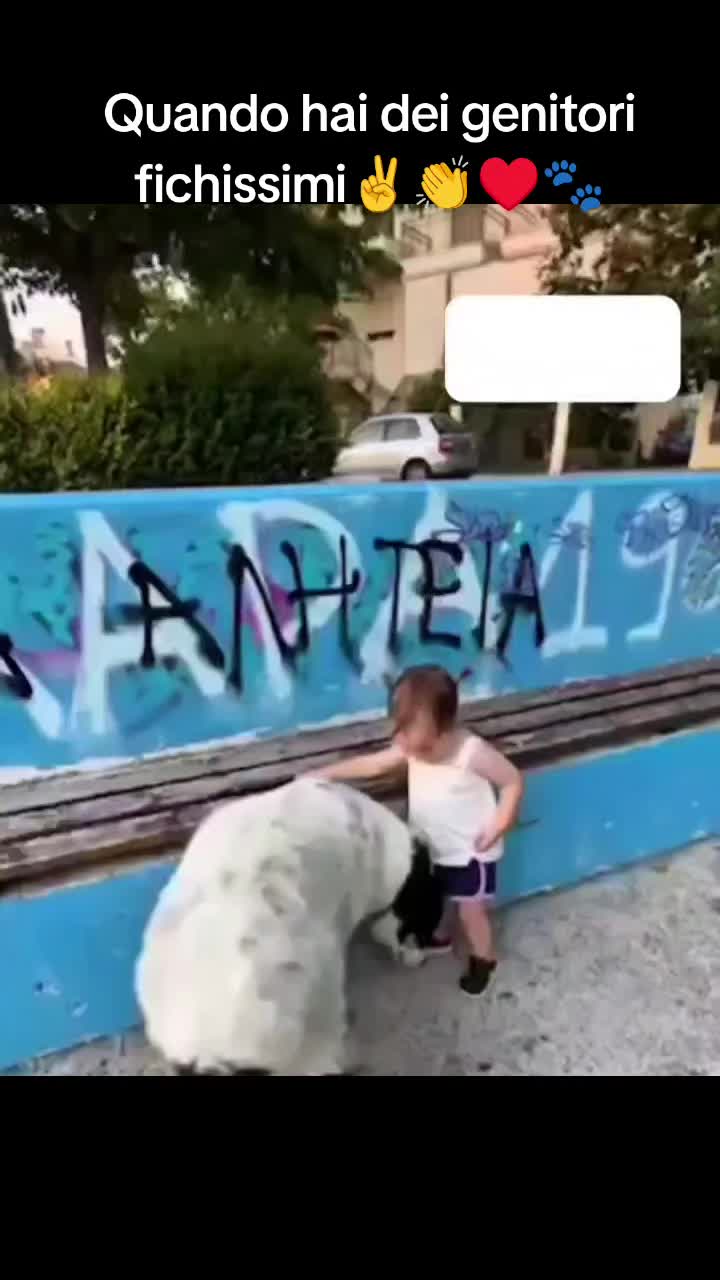 @cuore.animale