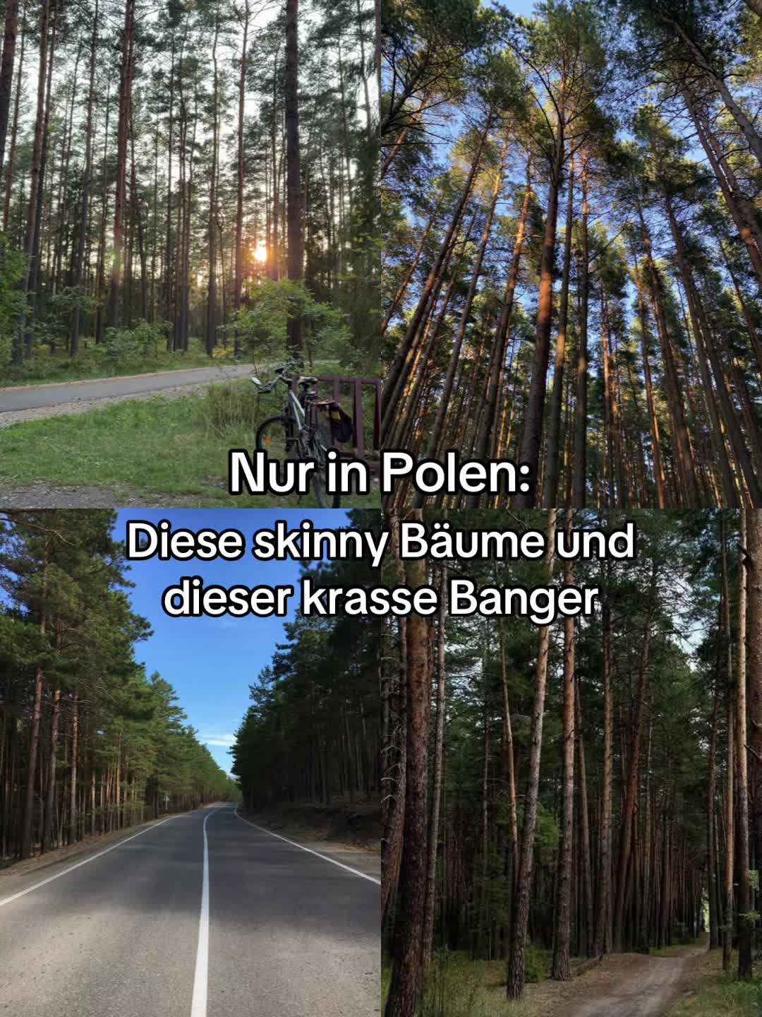 @Dxstin