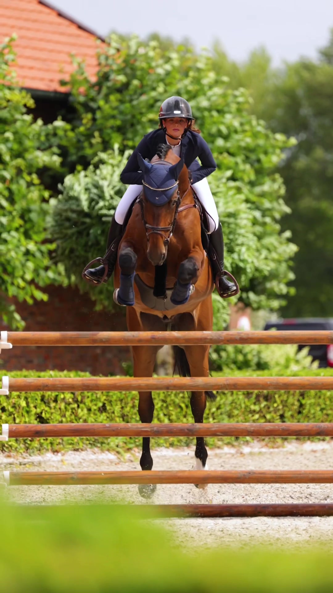 @Maximilian Equestrian