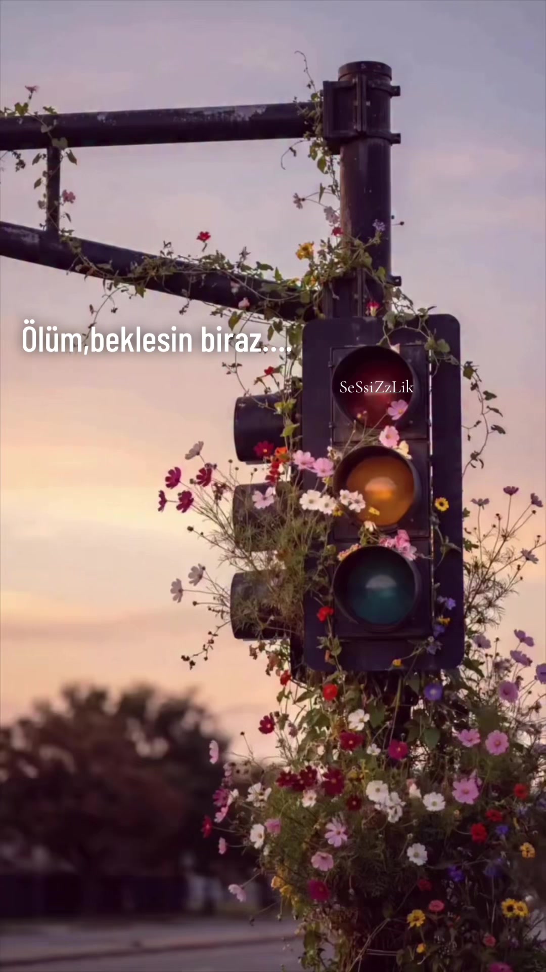 @SeSsiZzLik