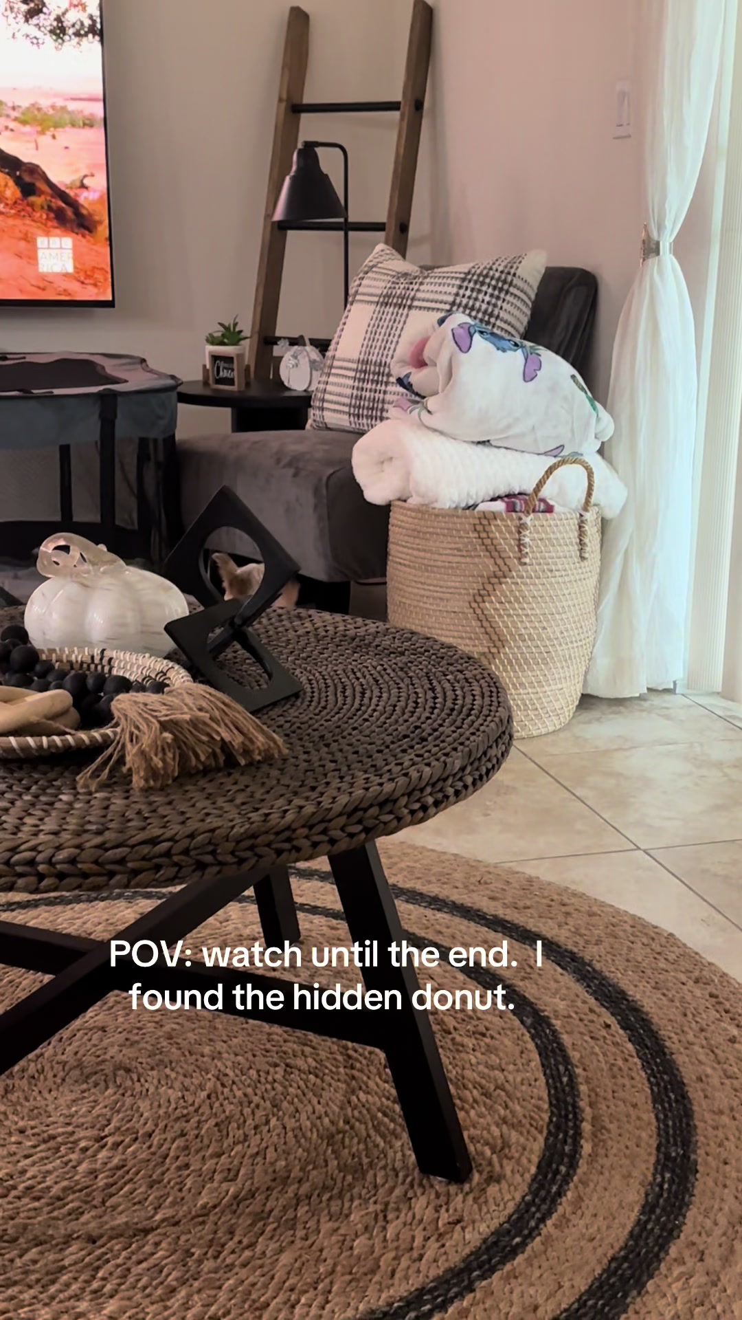 @Penny the Yorkie