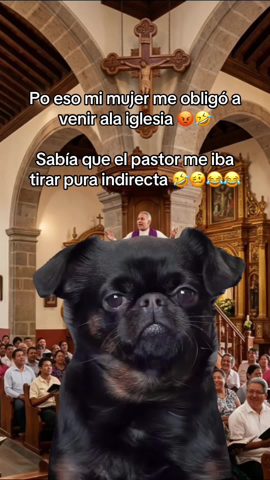 @Sary