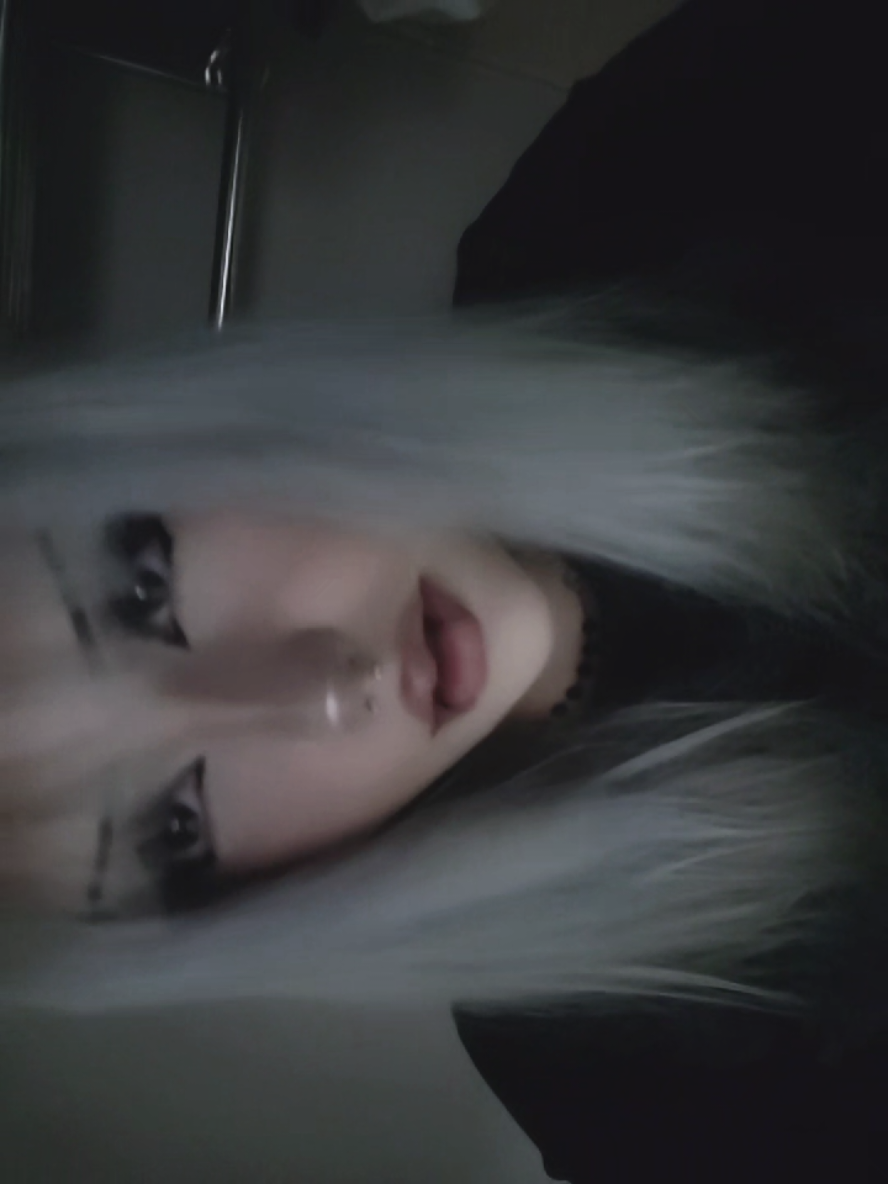 @kitty≽(•⩊ •マ≼
