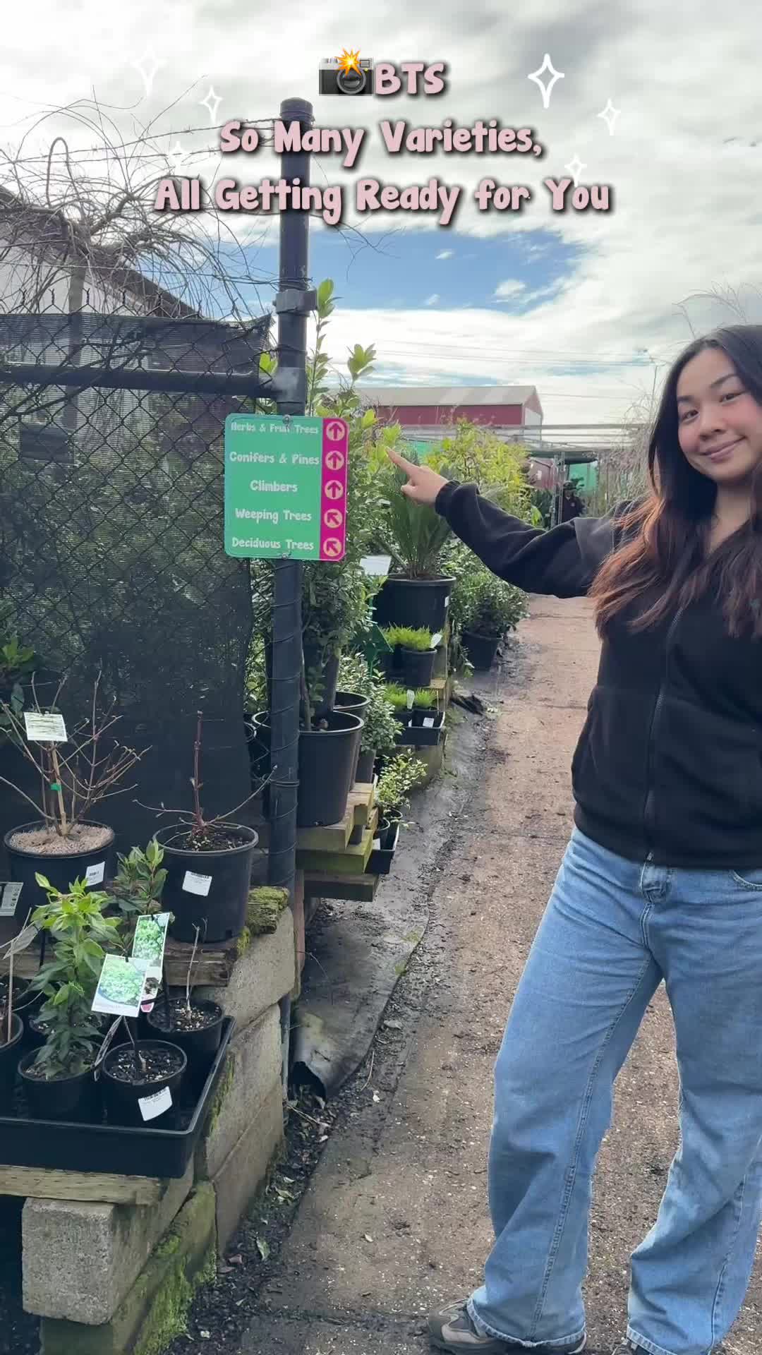 @Hello Hello Plants Nursery