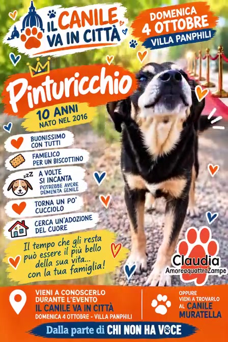 @Amoreaquattrozampe.it