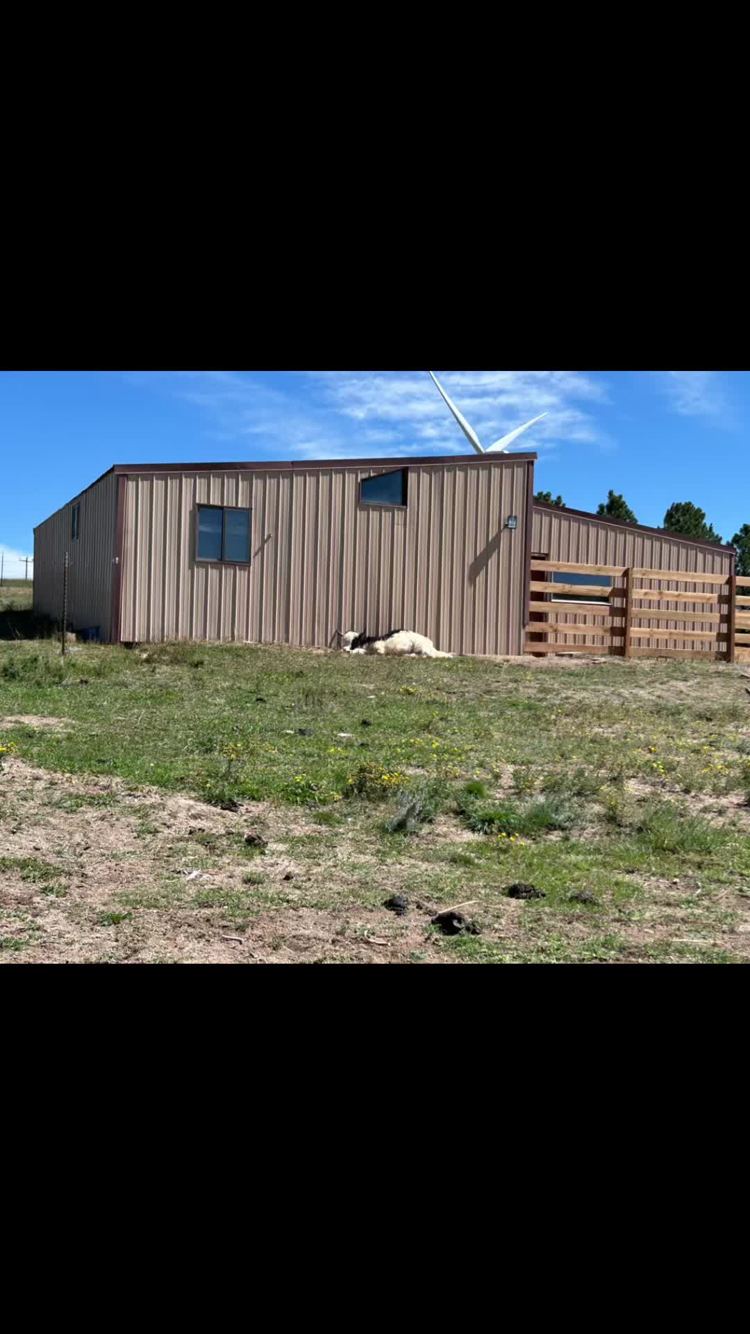 @Yakety Yak Ranch