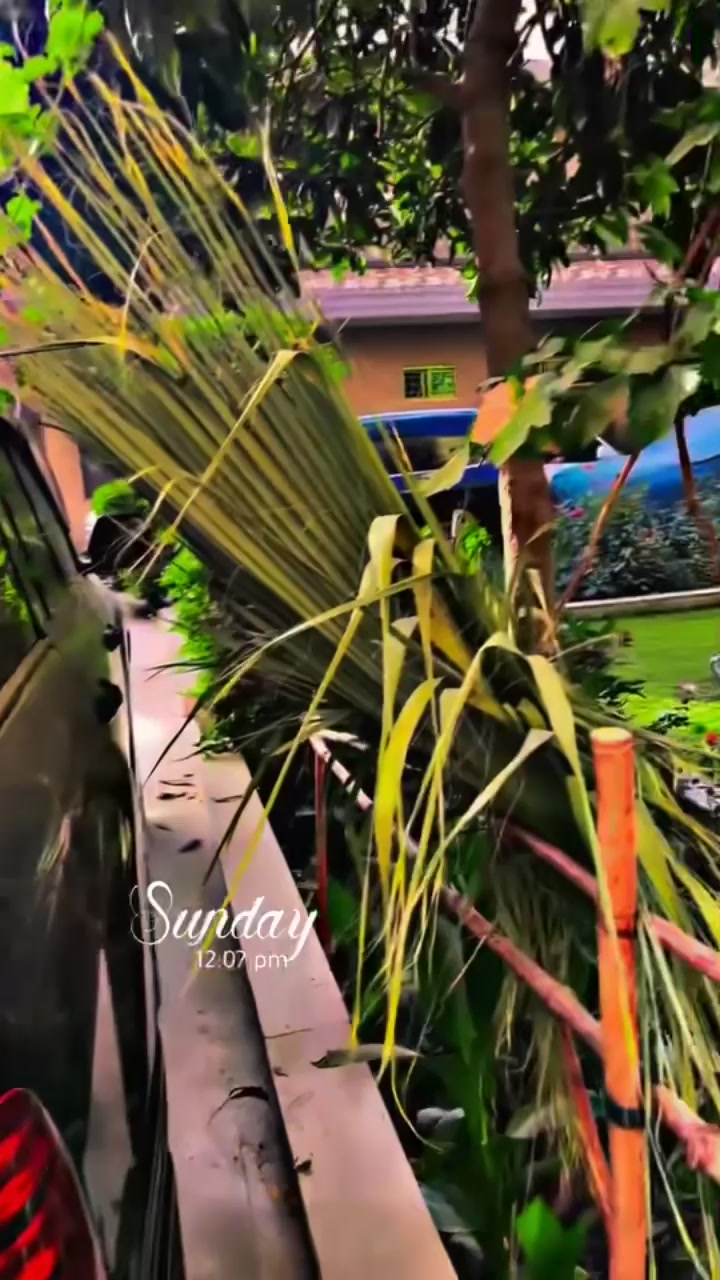 @SK