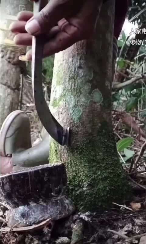 @Allan Covarrubias