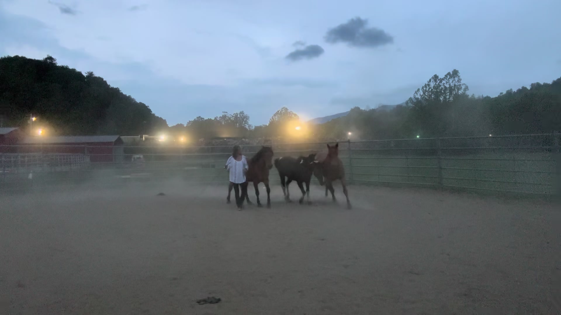 @Janet..Fuzzy.farm.gang