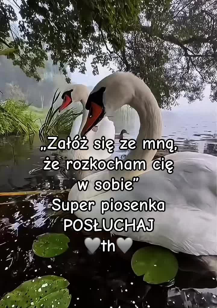 @Teresa
