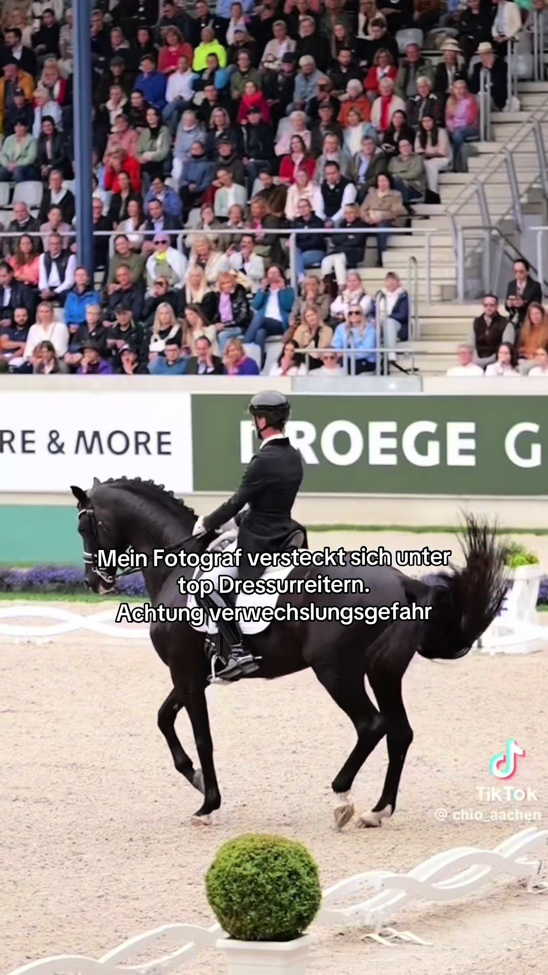 @Letynnxhorses