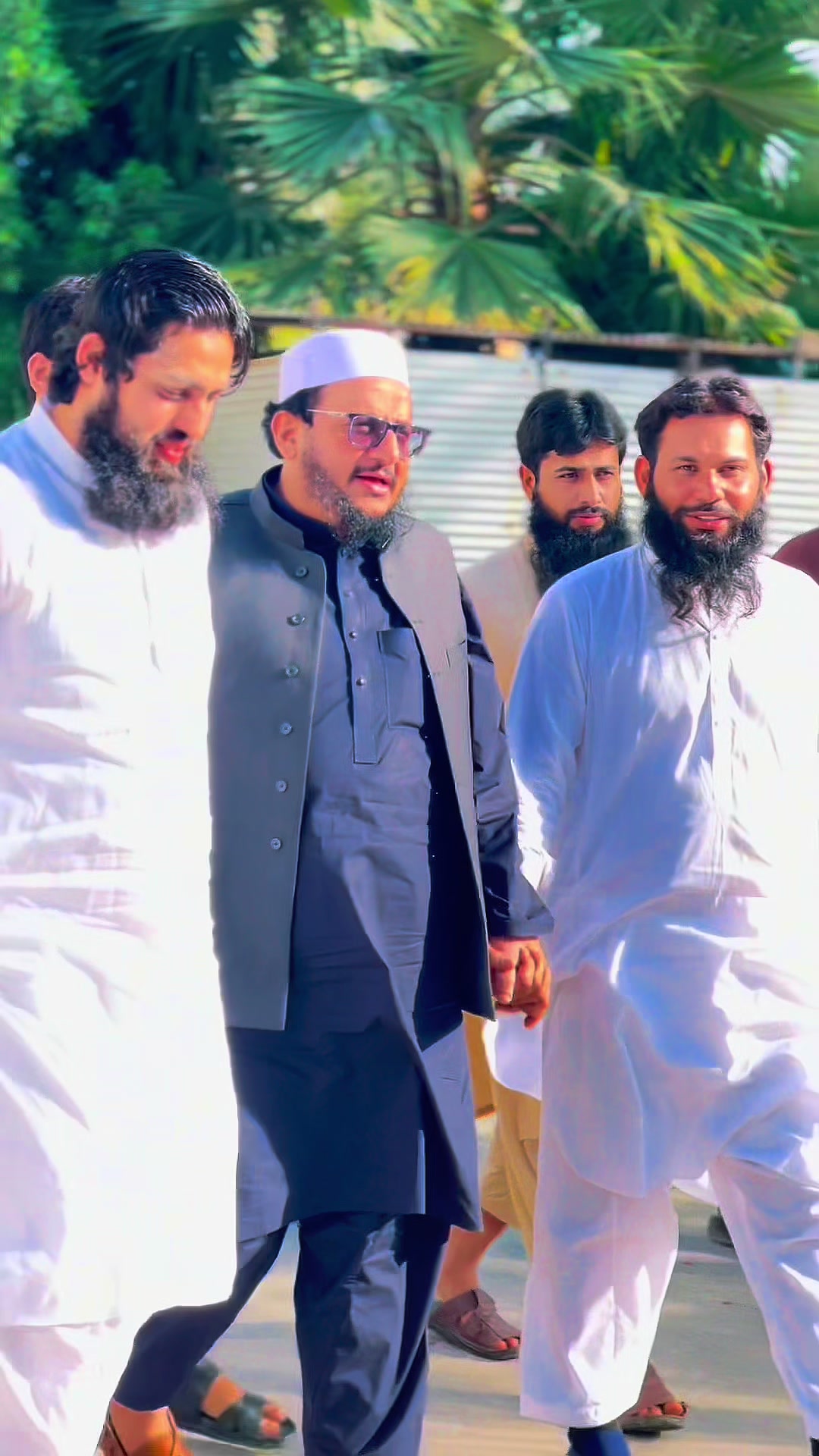 @پروفیسر حافظ محمد طلحہ سعید