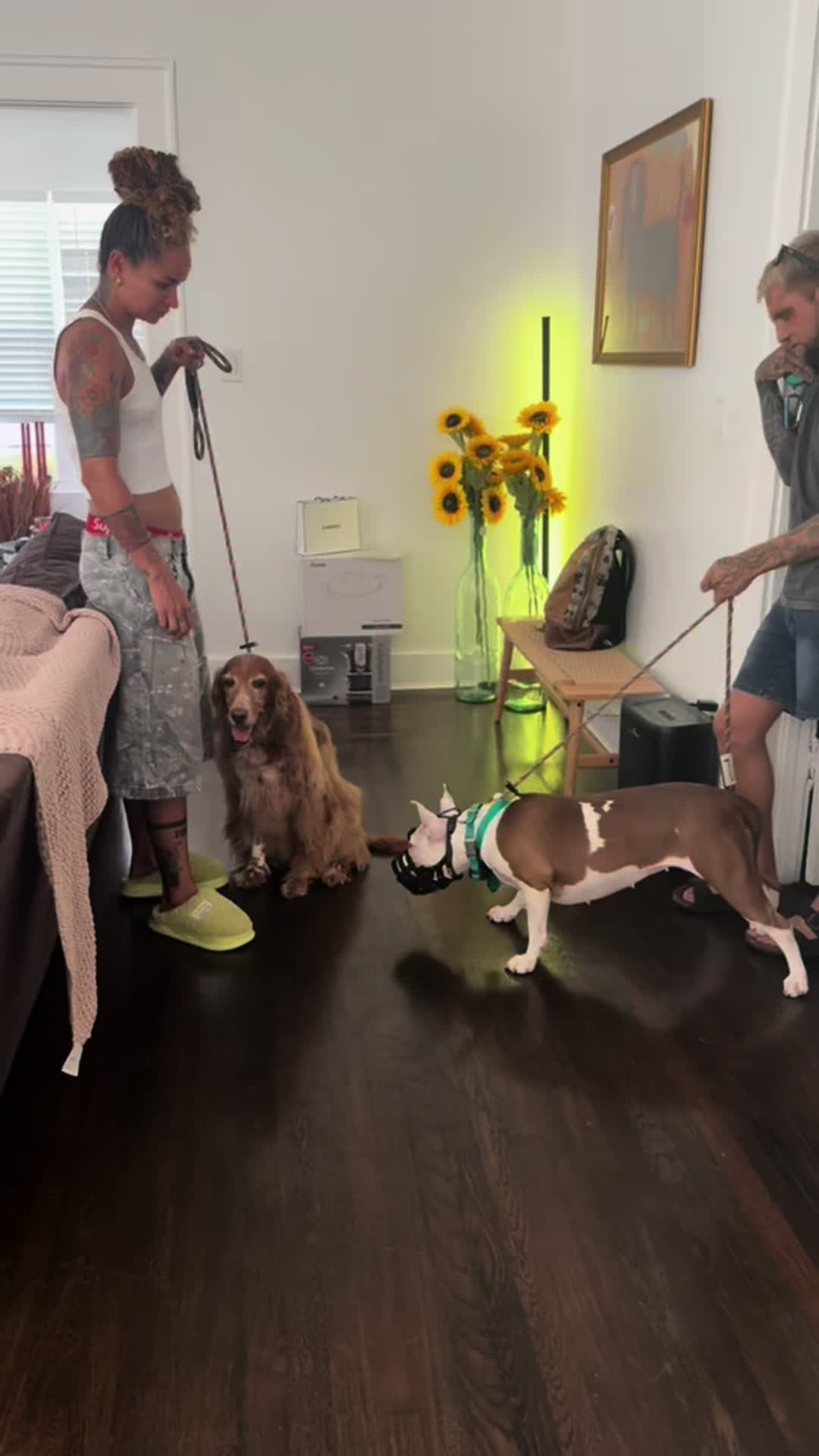 @balancedcanineacademy