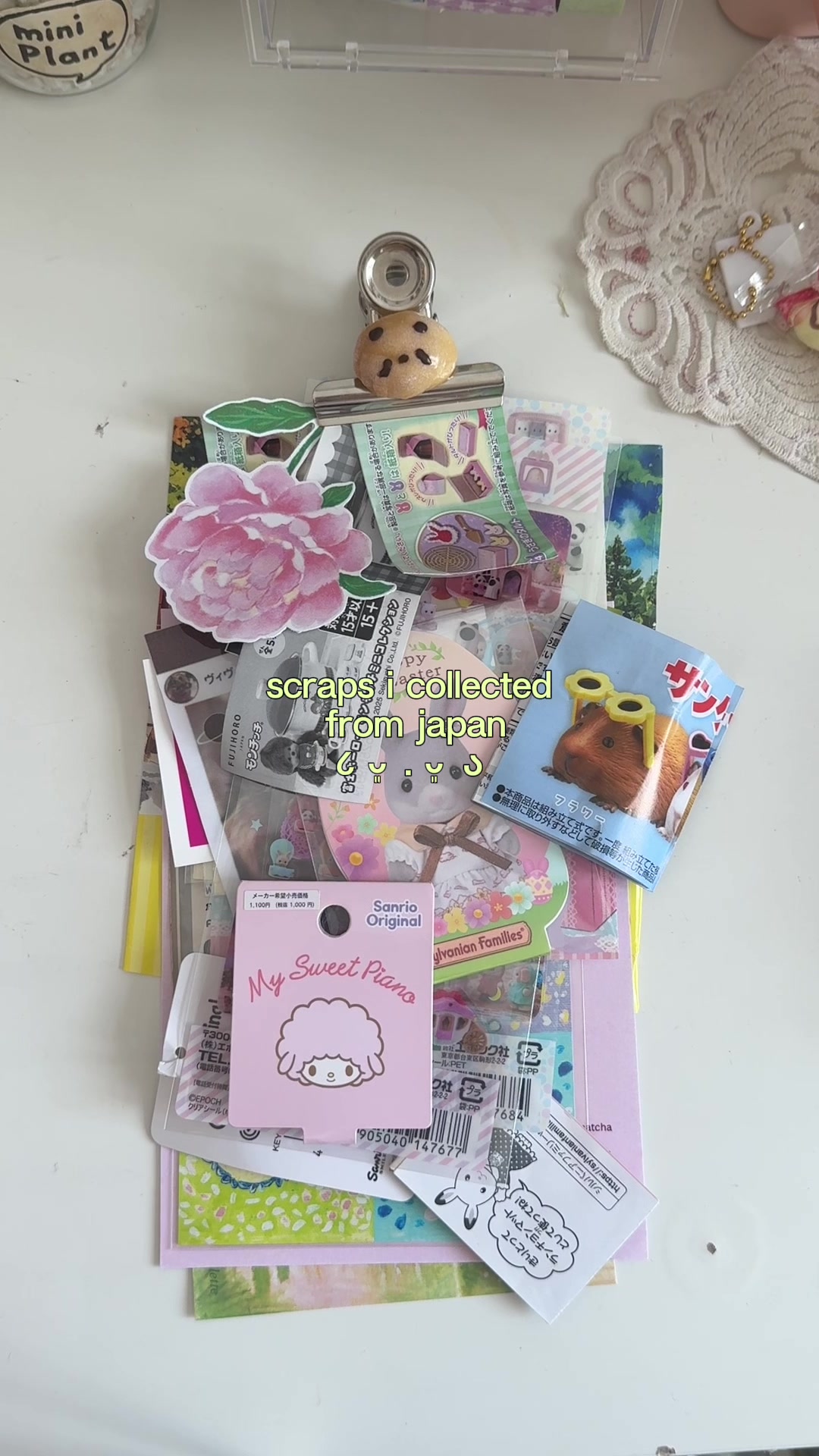 @sammi ࣪˖ ִ𐙚