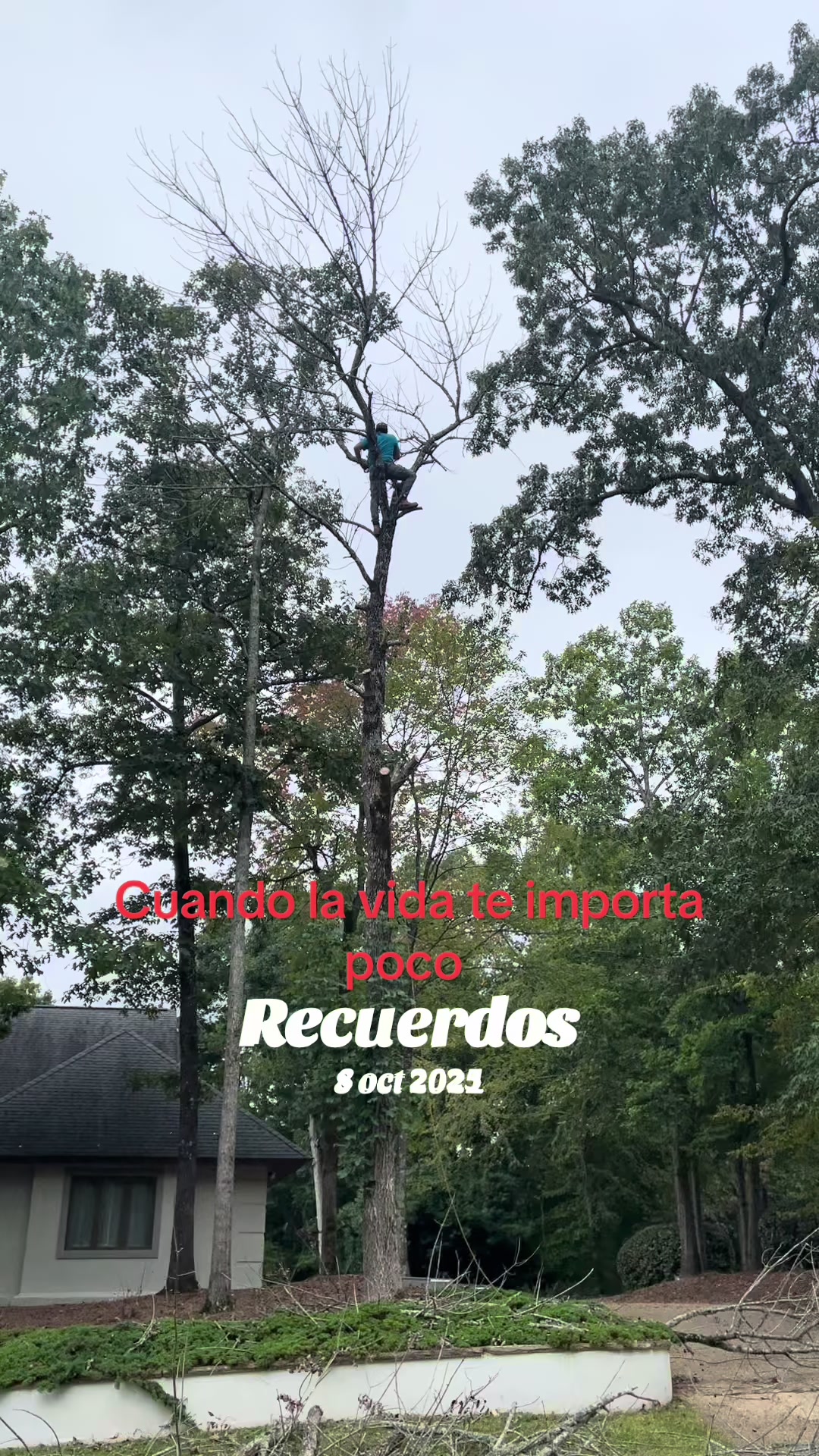 @🃏Julio Hernández🃏