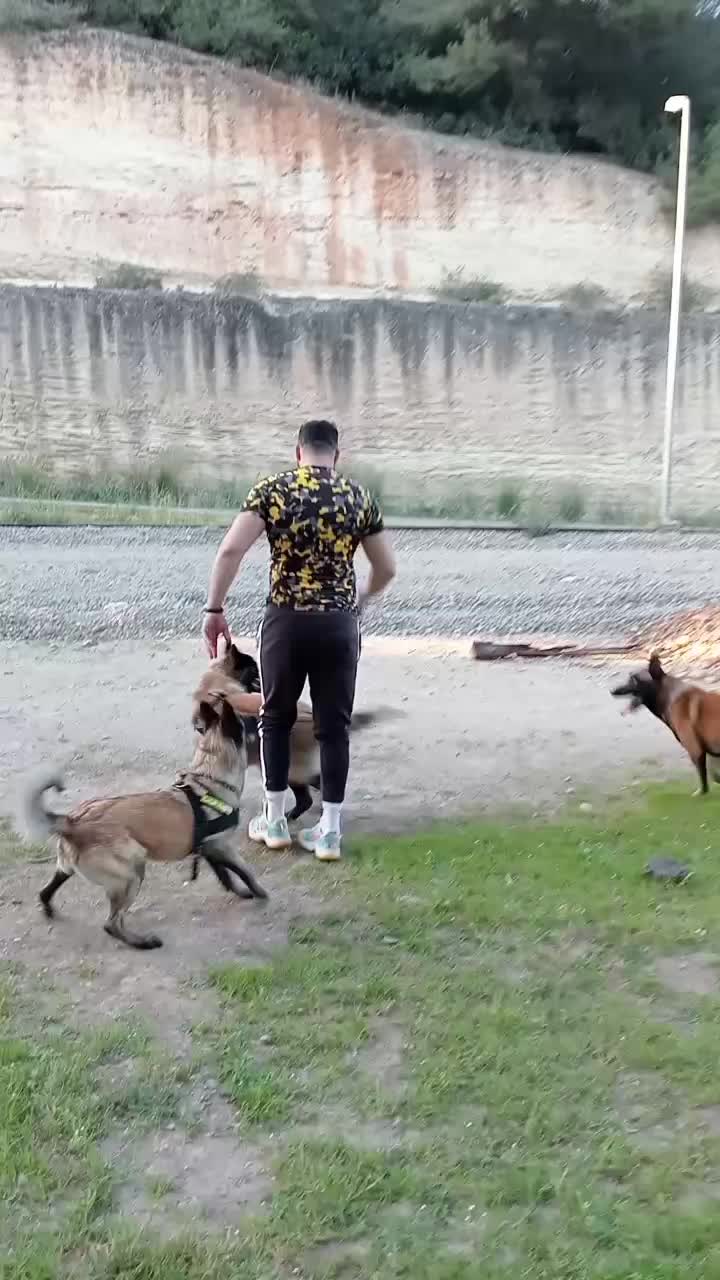 @Aldo🦍&pawla🦮