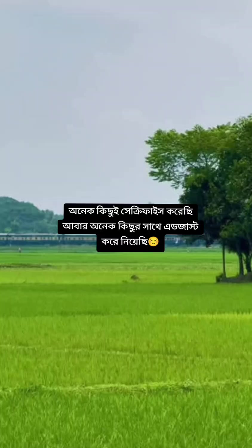 @✈️প্রবাসির বউ লাবনী✈️