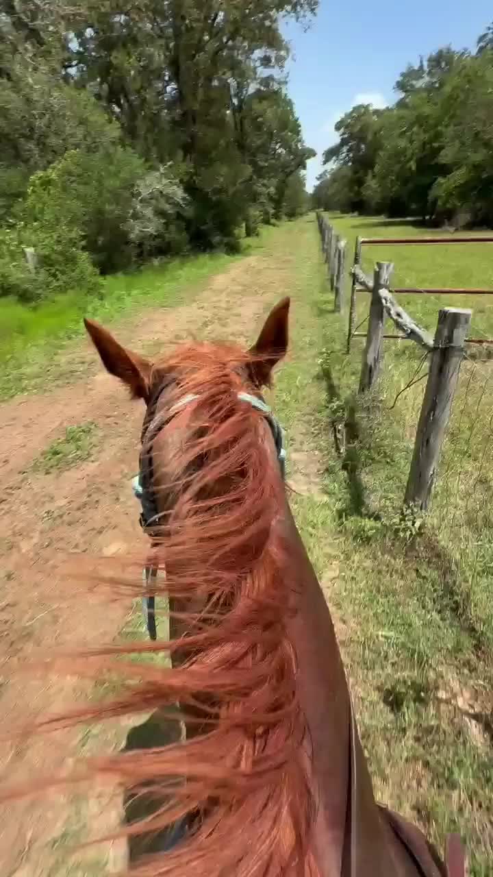 @Tetris_eq