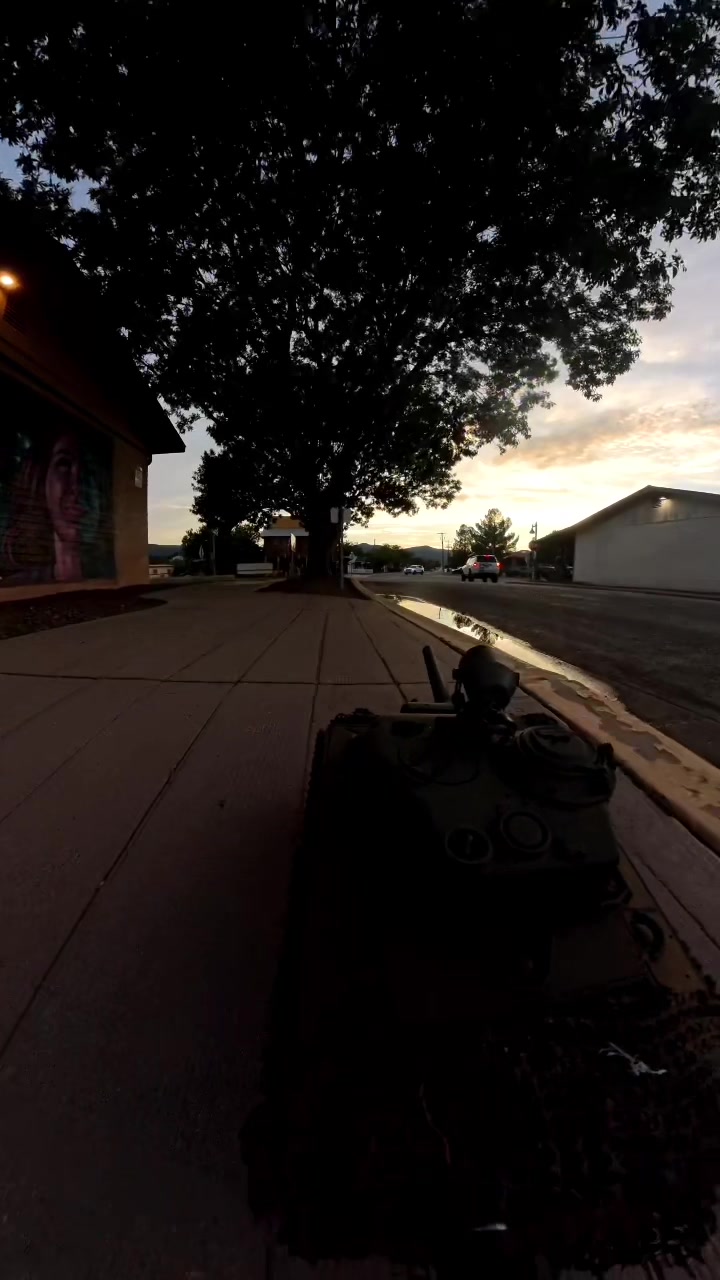 @punisher_utiltyverde
