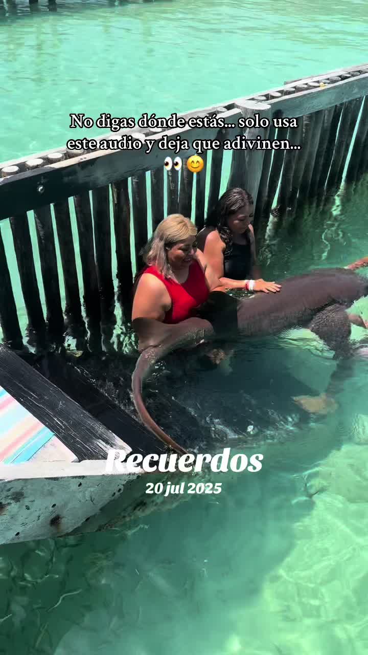 @MaricelaAvalosTovar