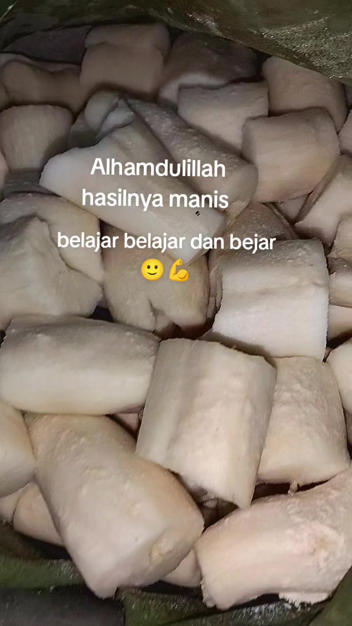 @elvisusanti980